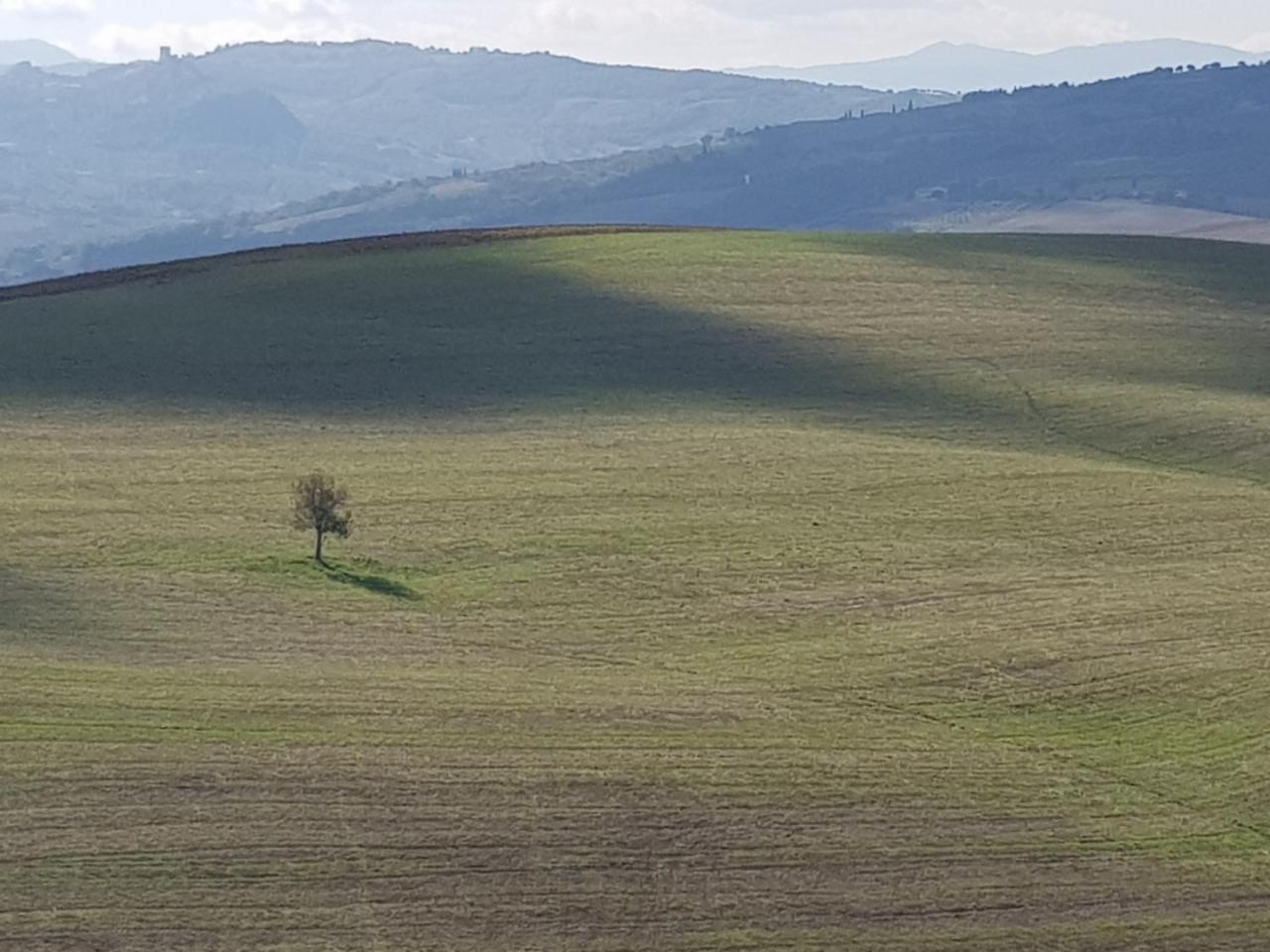 B&B Il Glicine Montefollonico Extérieur photo