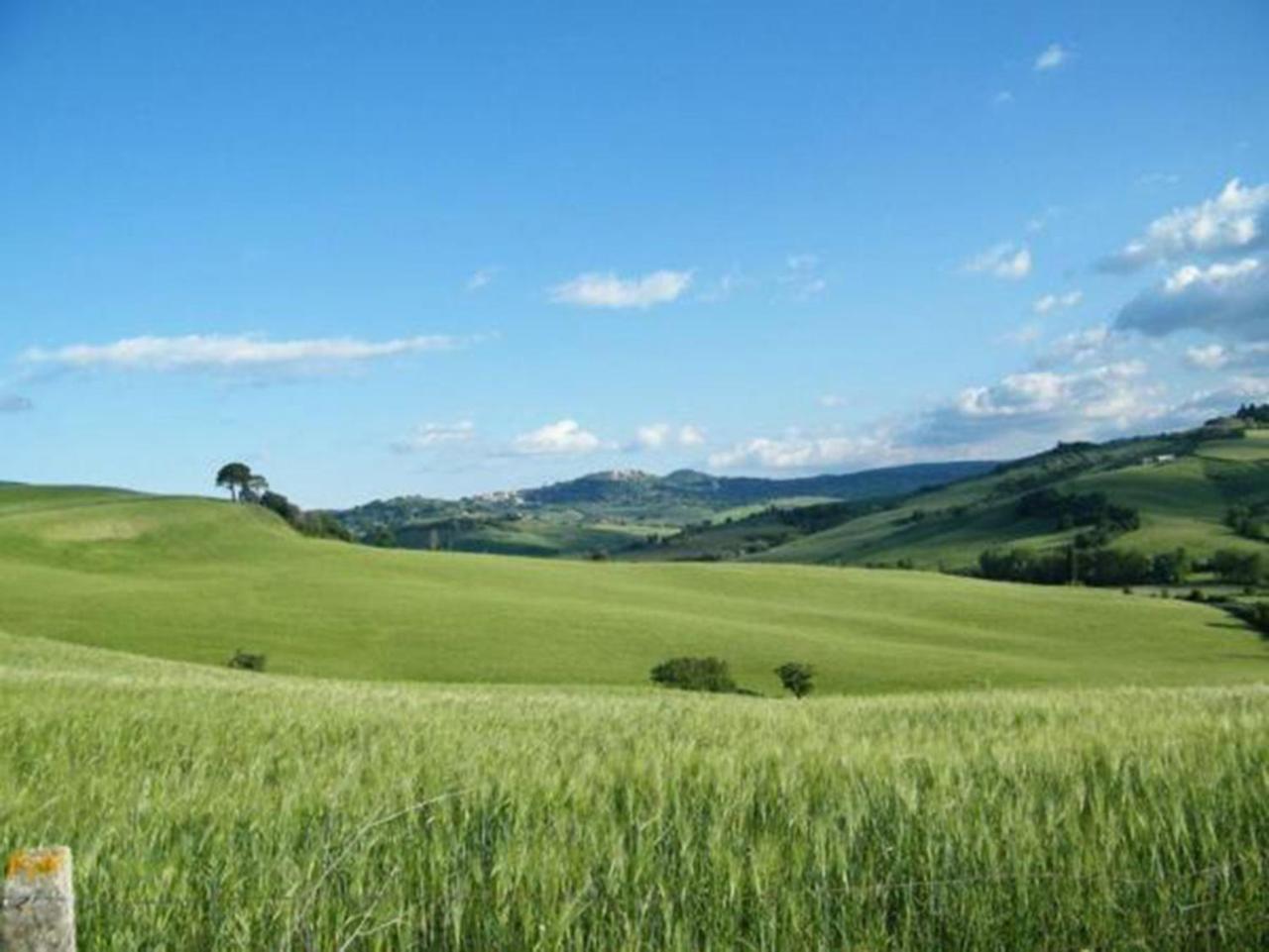 B&B Il Glicine Montefollonico Extérieur photo