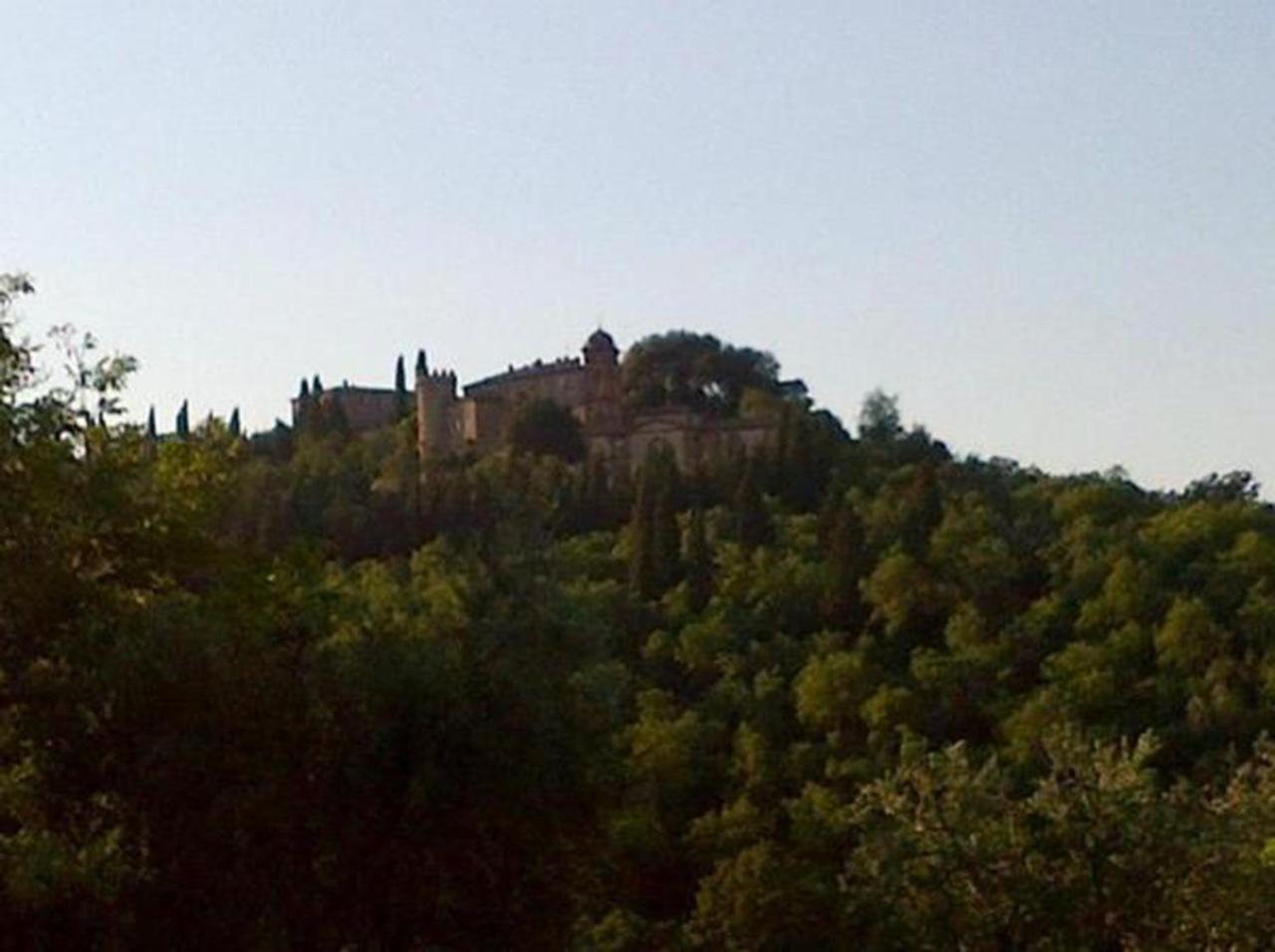 B&B Il Glicine Montefollonico Extérieur photo