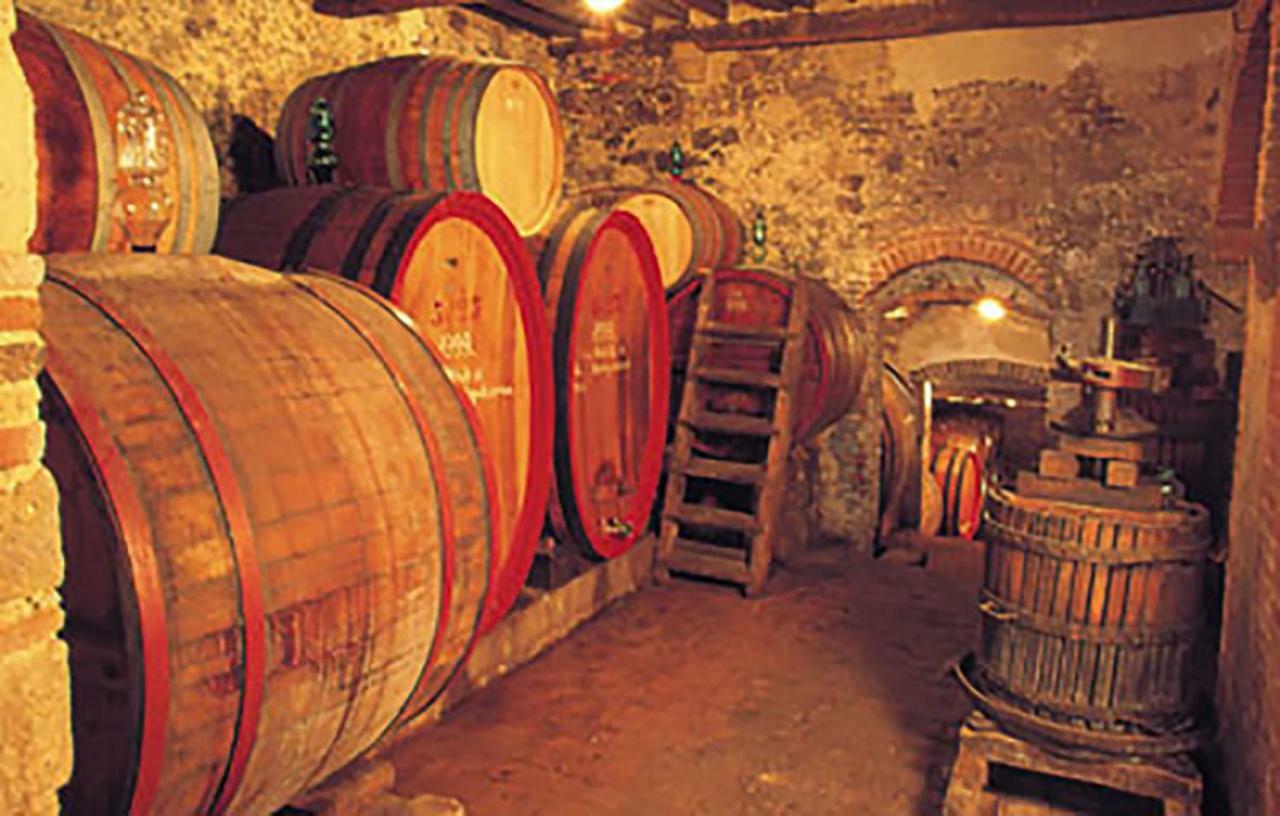 B&B Il Glicine Montefollonico Extérieur photo