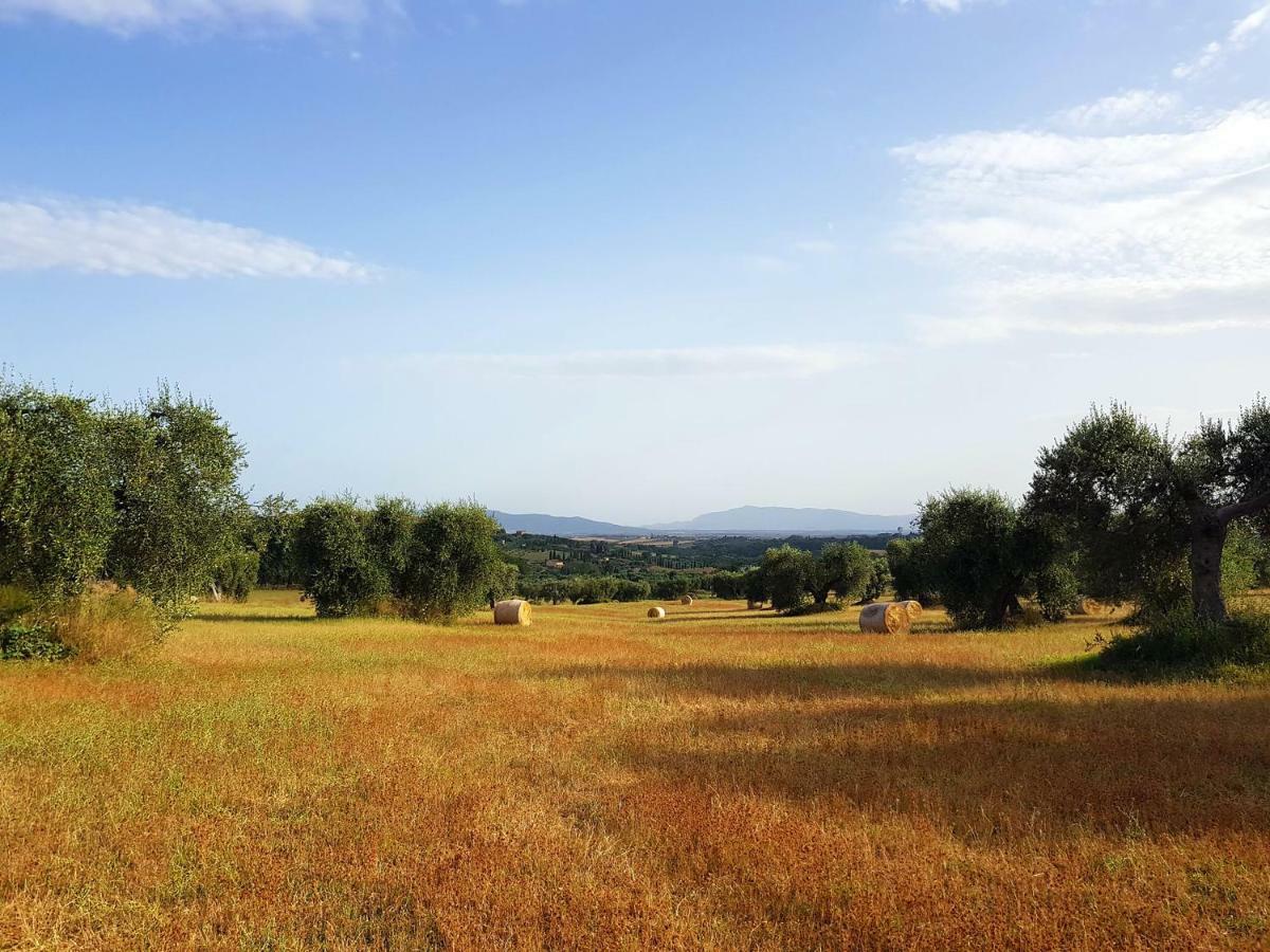 B&B Il Glicine Montefollonico Extérieur photo
